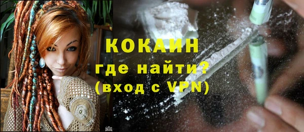 ешки Новозыбков