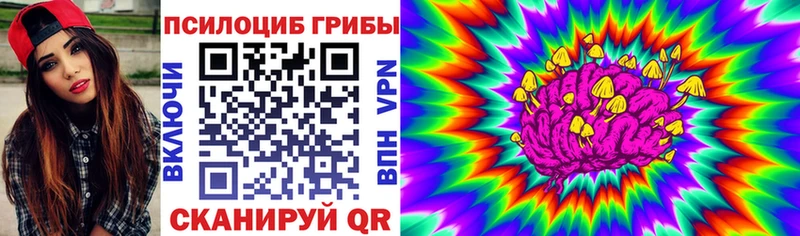 Псилоцибиновые грибы Psilocybine cubensis  Серов 