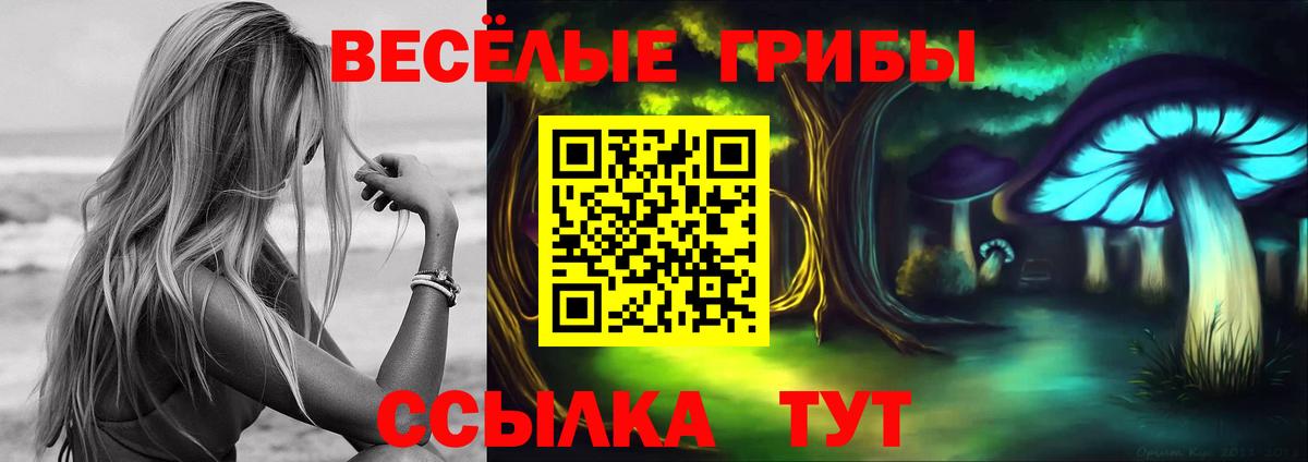 Галлюциногенные грибы Cubensis Серов
